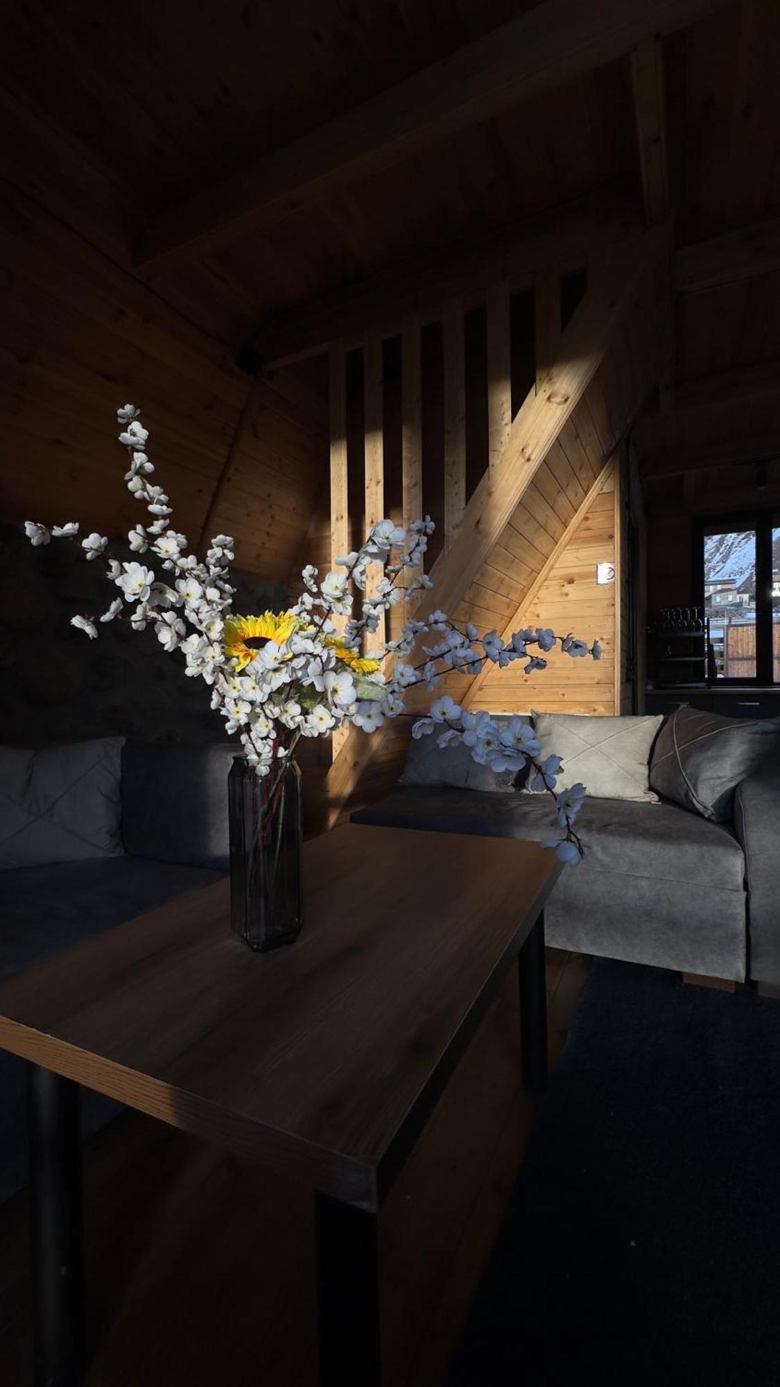 Aura Cottages 卡兹贝吉 外观 照片